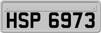 HSP6973