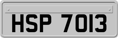 HSP7013
