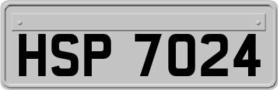 HSP7024