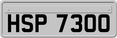HSP7300