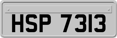 HSP7313