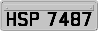 HSP7487