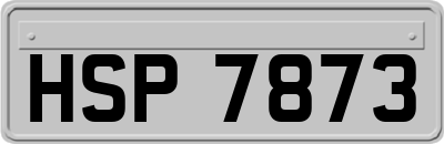 HSP7873