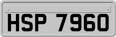 HSP7960