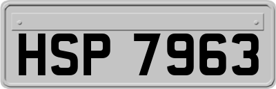 HSP7963
