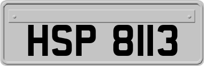 HSP8113