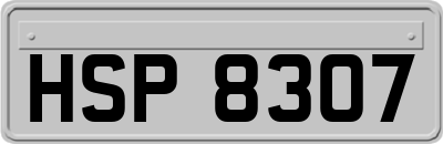 HSP8307