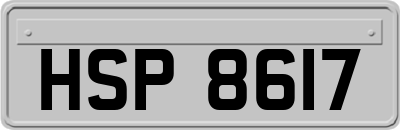 HSP8617