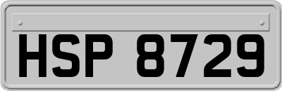 HSP8729