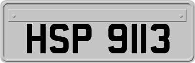 HSP9113