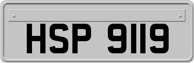 HSP9119