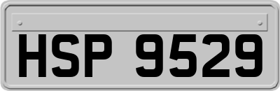 HSP9529