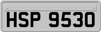 HSP9530