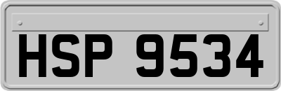 HSP9534