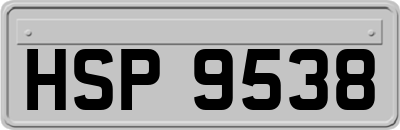 HSP9538