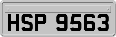 HSP9563