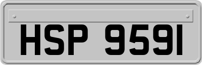 HSP9591