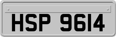 HSP9614