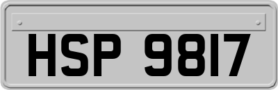 HSP9817
