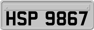 HSP9867