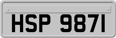 HSP9871