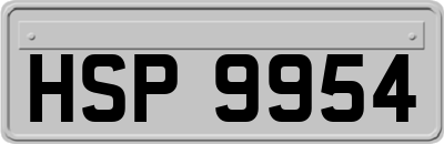 HSP9954