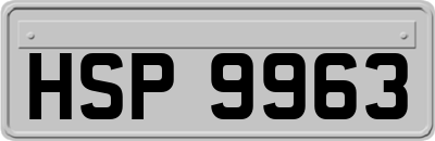 HSP9963