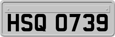 HSQ0739