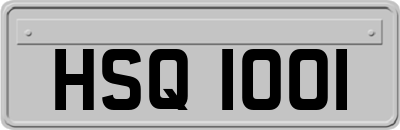 HSQ1001
