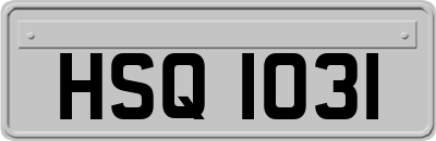 HSQ1031