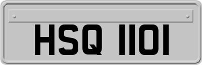 HSQ1101