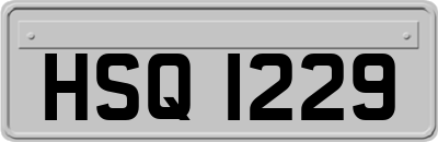 HSQ1229