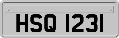 HSQ1231
