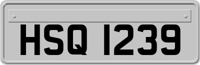 HSQ1239