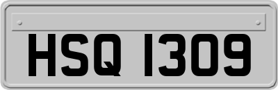 HSQ1309
