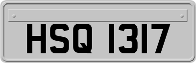 HSQ1317