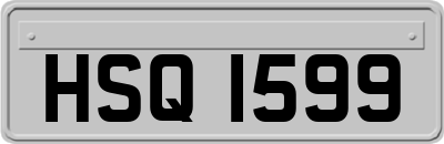 HSQ1599
