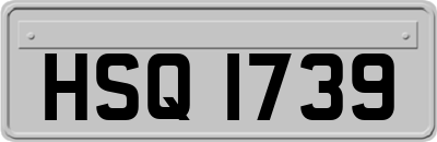 HSQ1739
