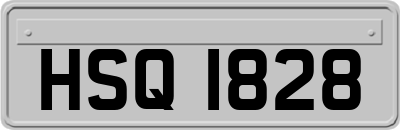 HSQ1828