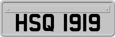 HSQ1919
