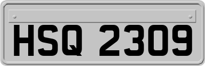 HSQ2309