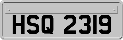 HSQ2319