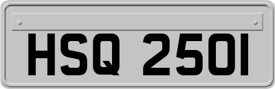 HSQ2501