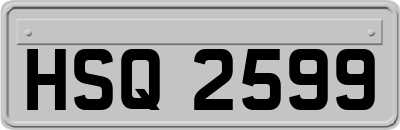 HSQ2599