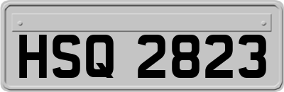 HSQ2823