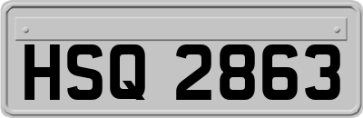 HSQ2863