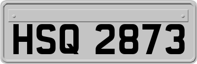 HSQ2873