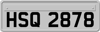 HSQ2878
