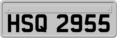 HSQ2955