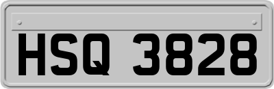 HSQ3828